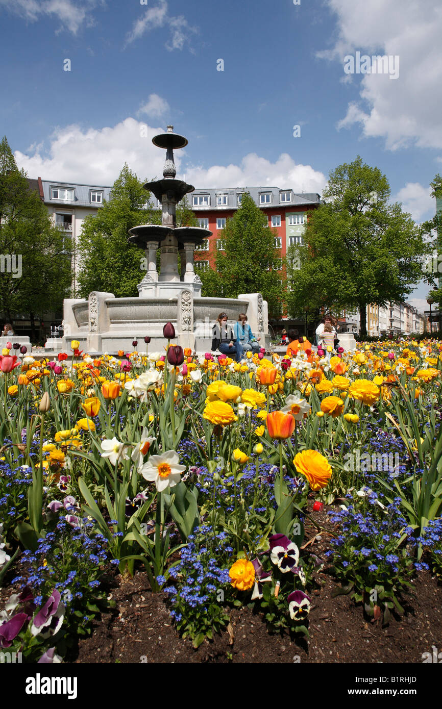 Spring flowers in Weissenburg Square, Munich-Haidhausen, Upper Bavaria, Germany, Europe Stock Photo