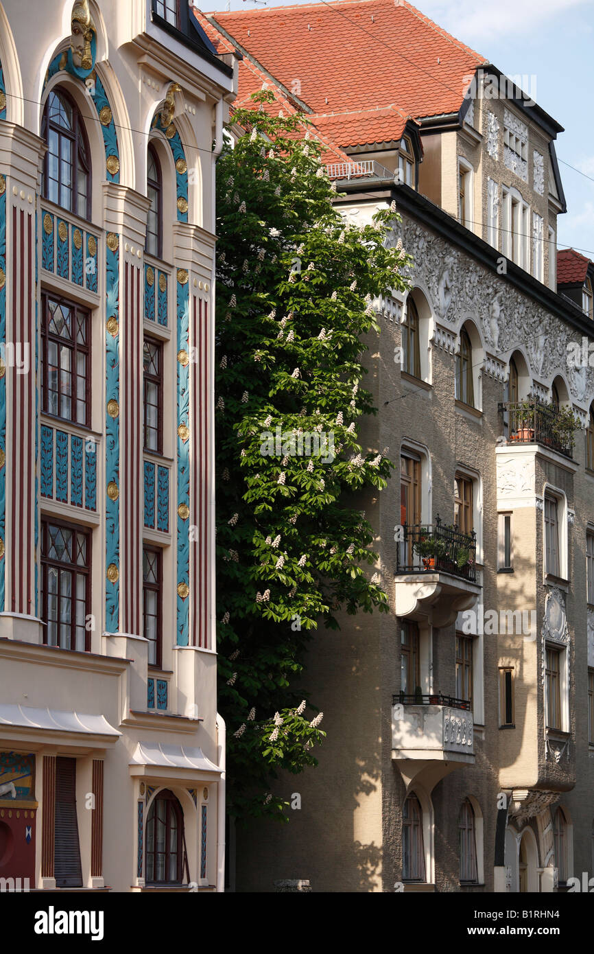 Blossoming Chestnut tree (Castanea) between two Art Nouveau apartment houses in Ainmillerstrasse Street 22 und 20, Schwabing, M Stock Photo