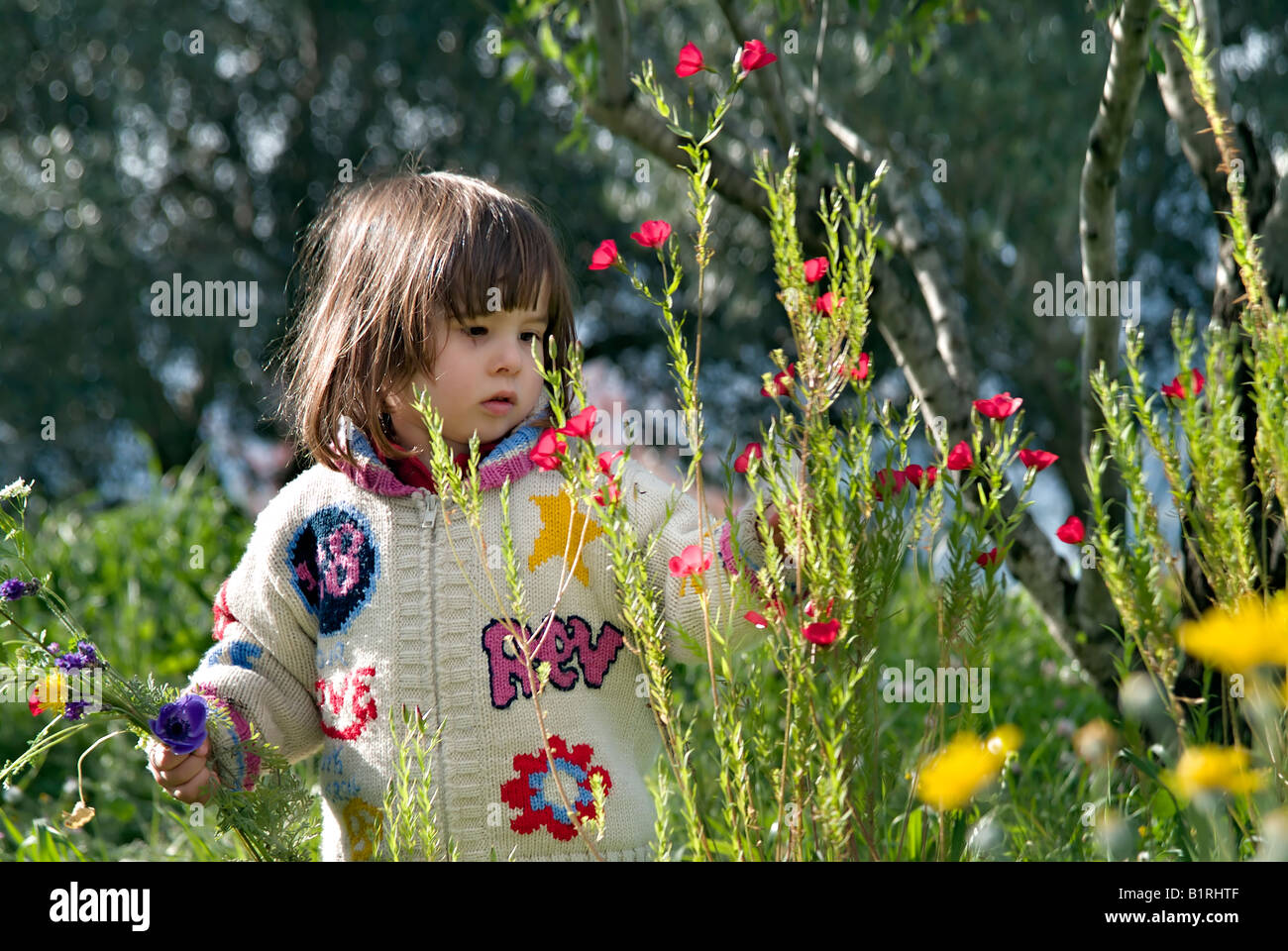 young girl picking wild flowers Stock Photo Alamy