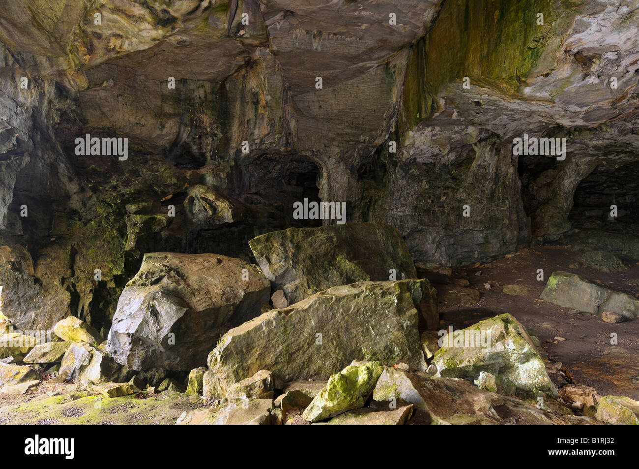 Dolomite rock formations in Greigs Scenic Caves Bruce Peninsula Ontario Stock Photo