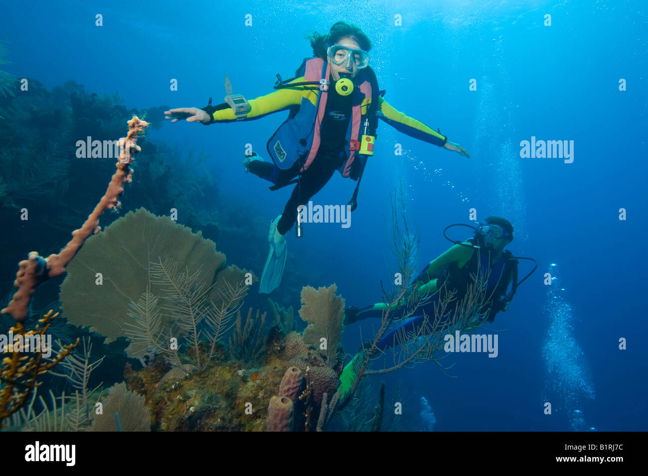 Touristds scuba diving in the Caribbean, Honduras, Central America