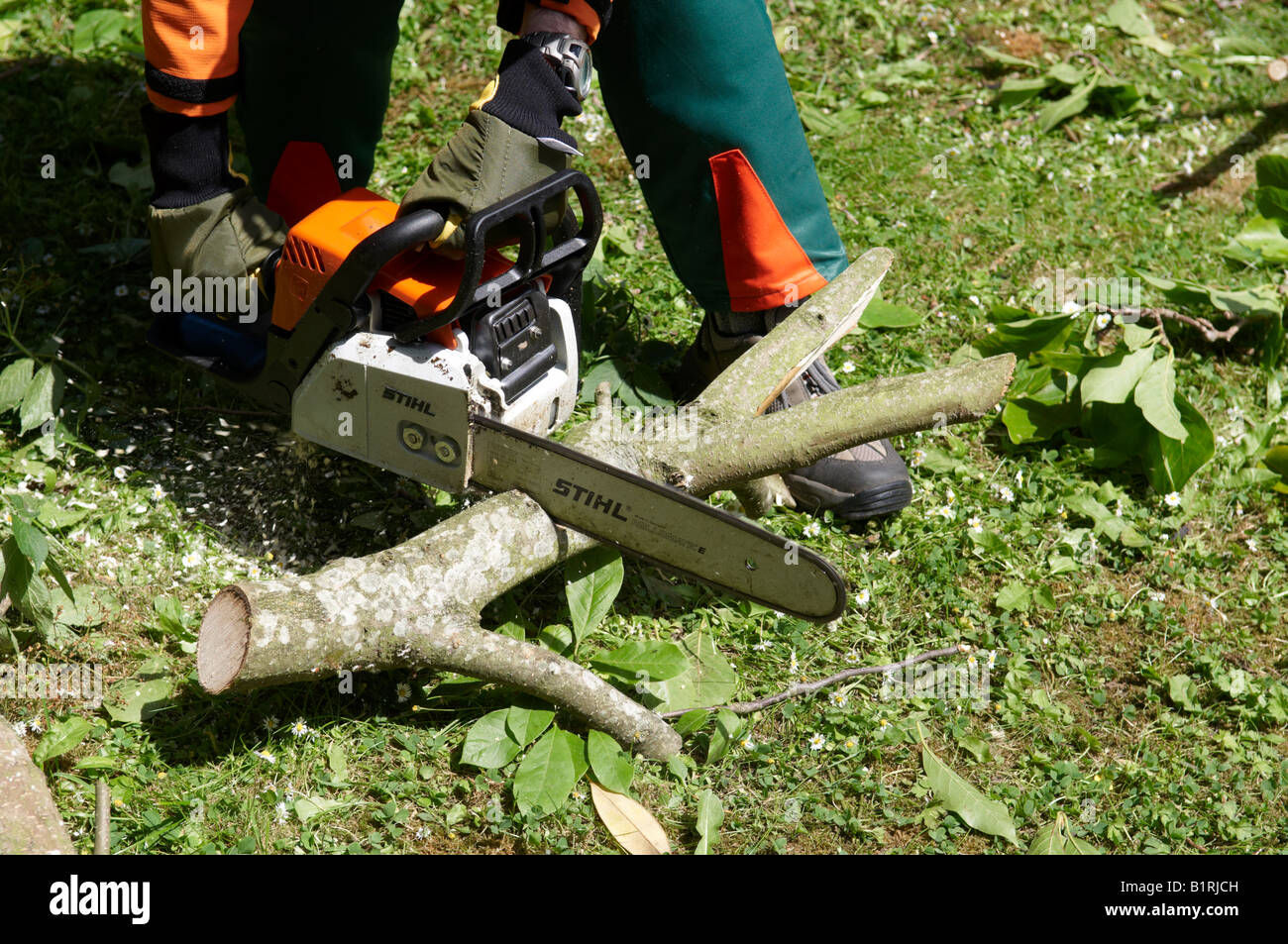 Man In Full Protective Stihl Power Tool Clothing Using His Chainsaw Ms 180 To Cut Wood Stock Photo Alamy