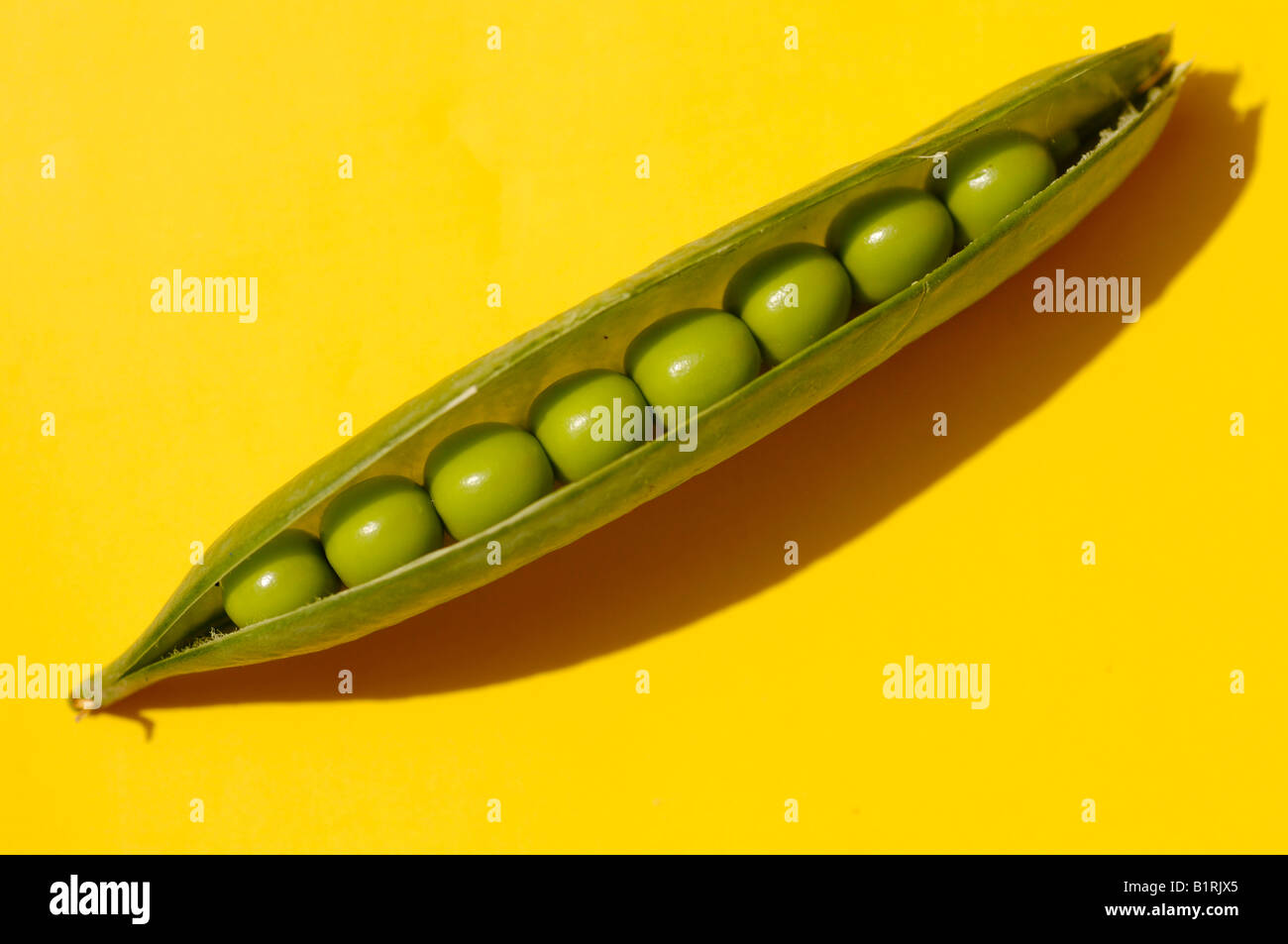 Erbsenschoten hires stock photography and images Alamy