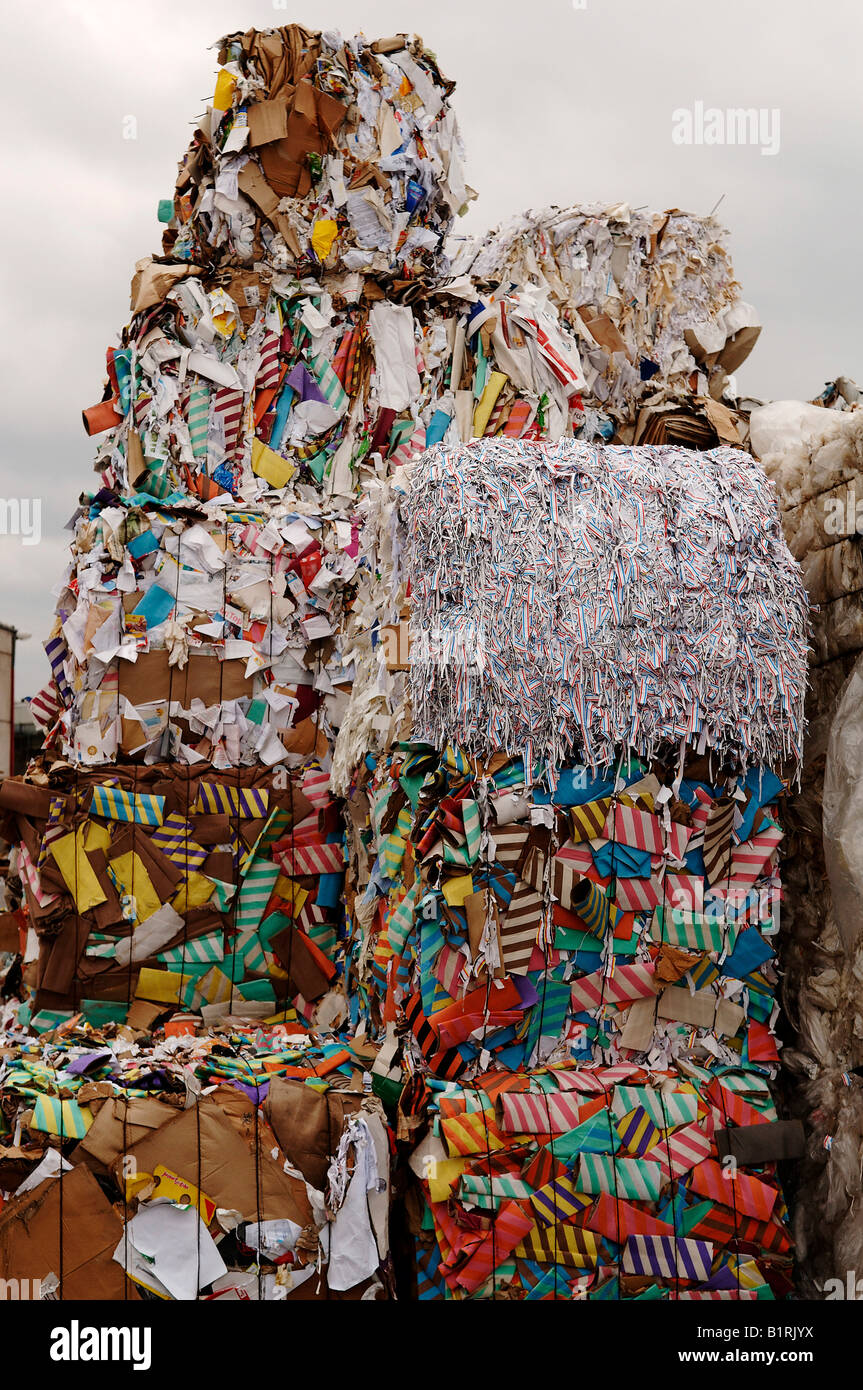 Bundled waste paper for recycling, Bamberg, Upper Franconia, Bavaria, Germany, Europe Stock Photo