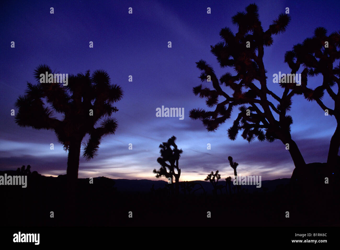 Joshua Tree National Park, Kalifornien, USA Stock Photo