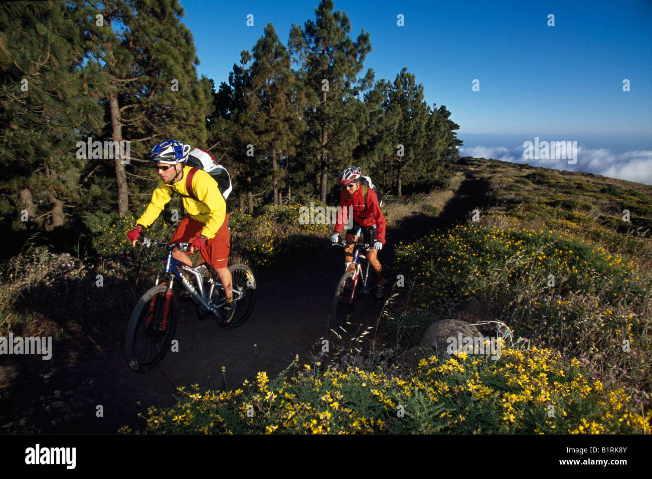 Mountain bikers, Laguna Grande, La Gomera, Canary Islands, Spain Stock  Photo - Alamy