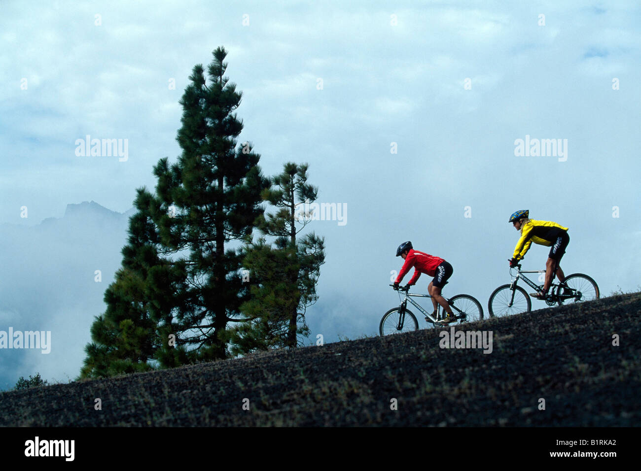Mountain biker, Montana Quemada, La Palma, Kanaren, Spain Stock Photo