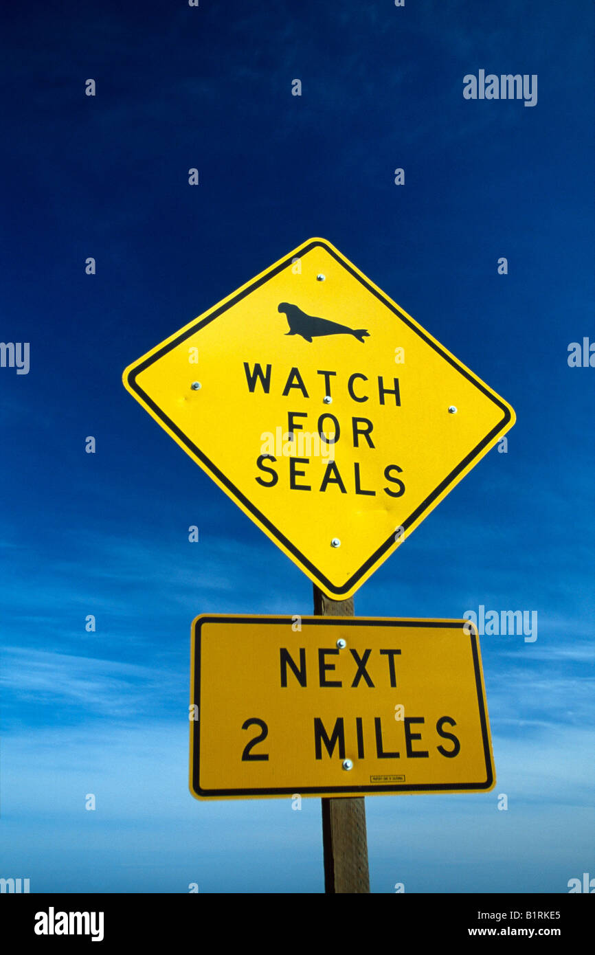 Indication of seals, Monterey, California, USA Stock Photo Alamy