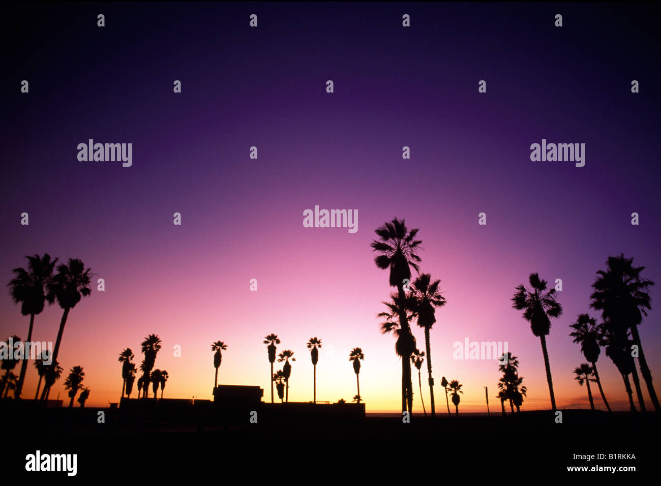 Venice Beach, Santa Monica, Los Angeles, California, USA Stock Photo Alamy