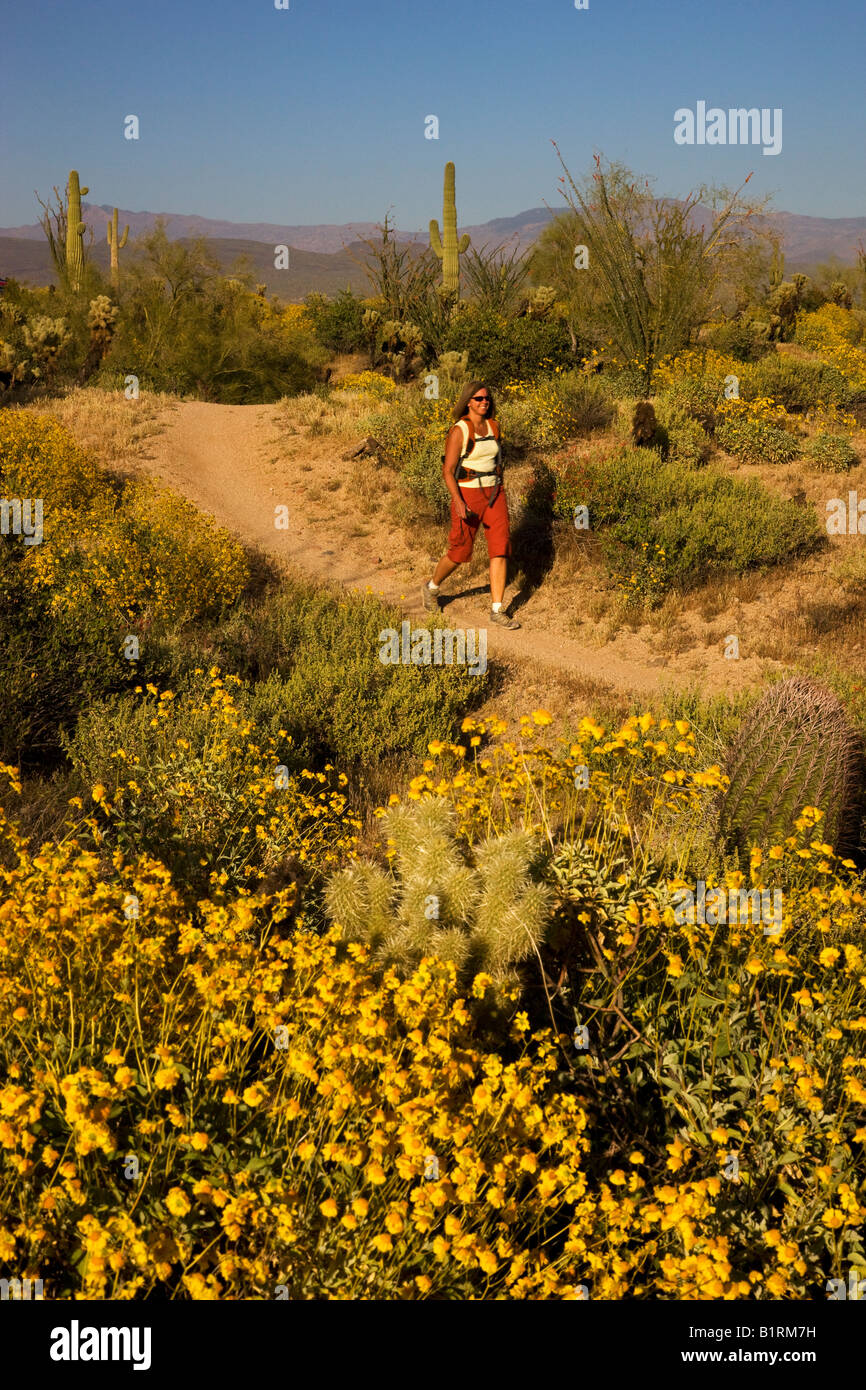 A visitor hiking in McDowell Mountain Regional Park near Fountain Hills