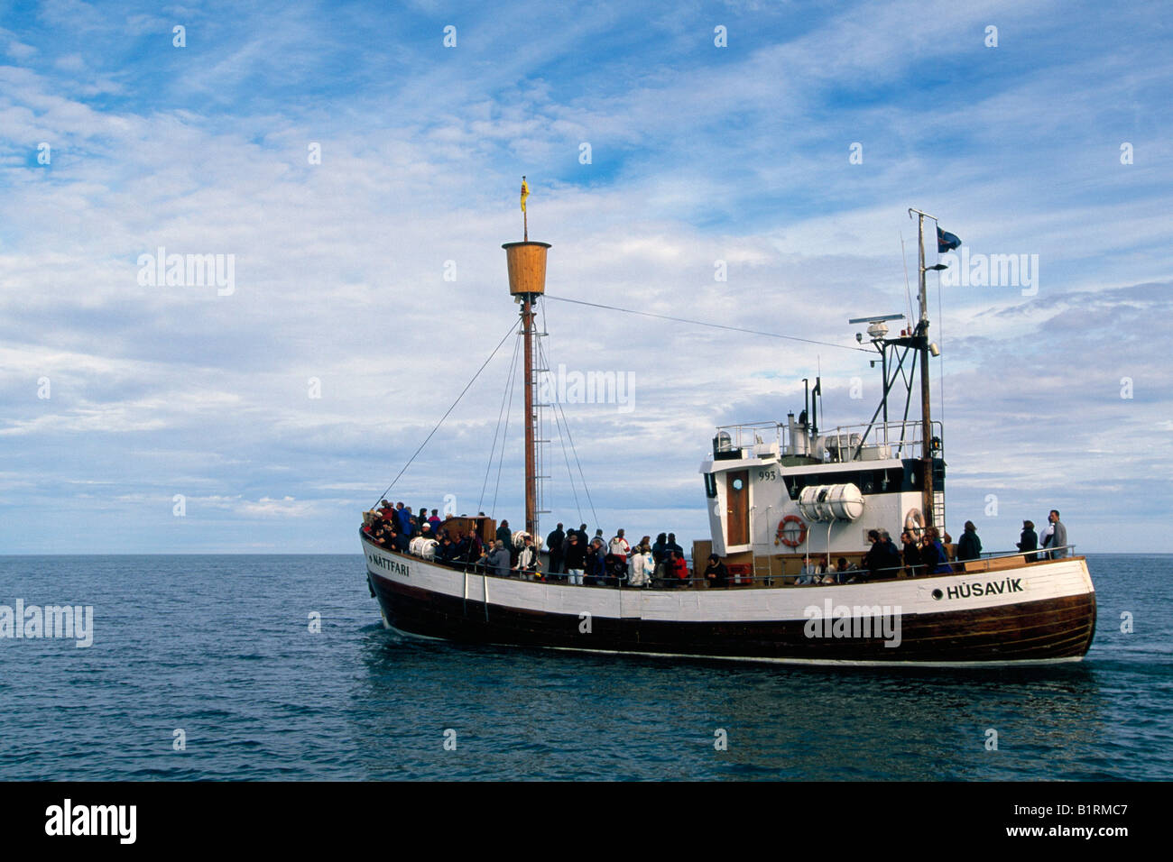Whale watching on the boat Husavik, Iceland Stock Photo - Alamy