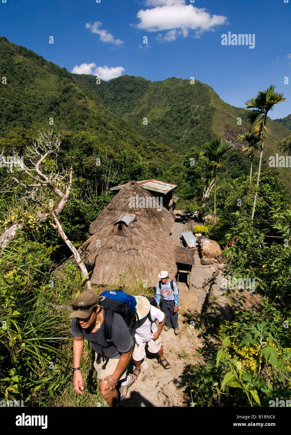 Trekking Cambulo Village Ifugao Village Banaue Luzon - 