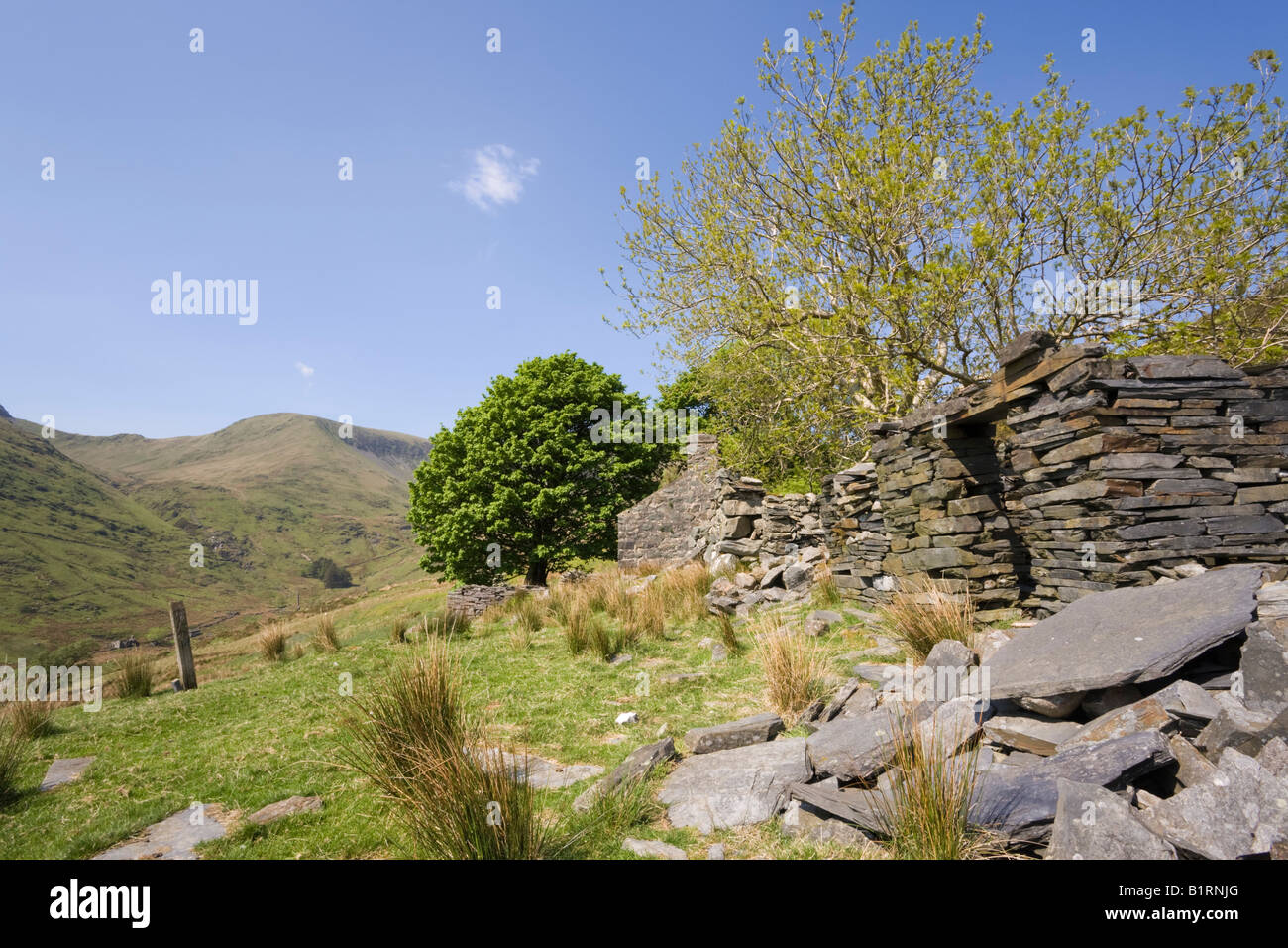 Cwm Pennant Gwynedd North Wales UK May Ruined stone farm building in