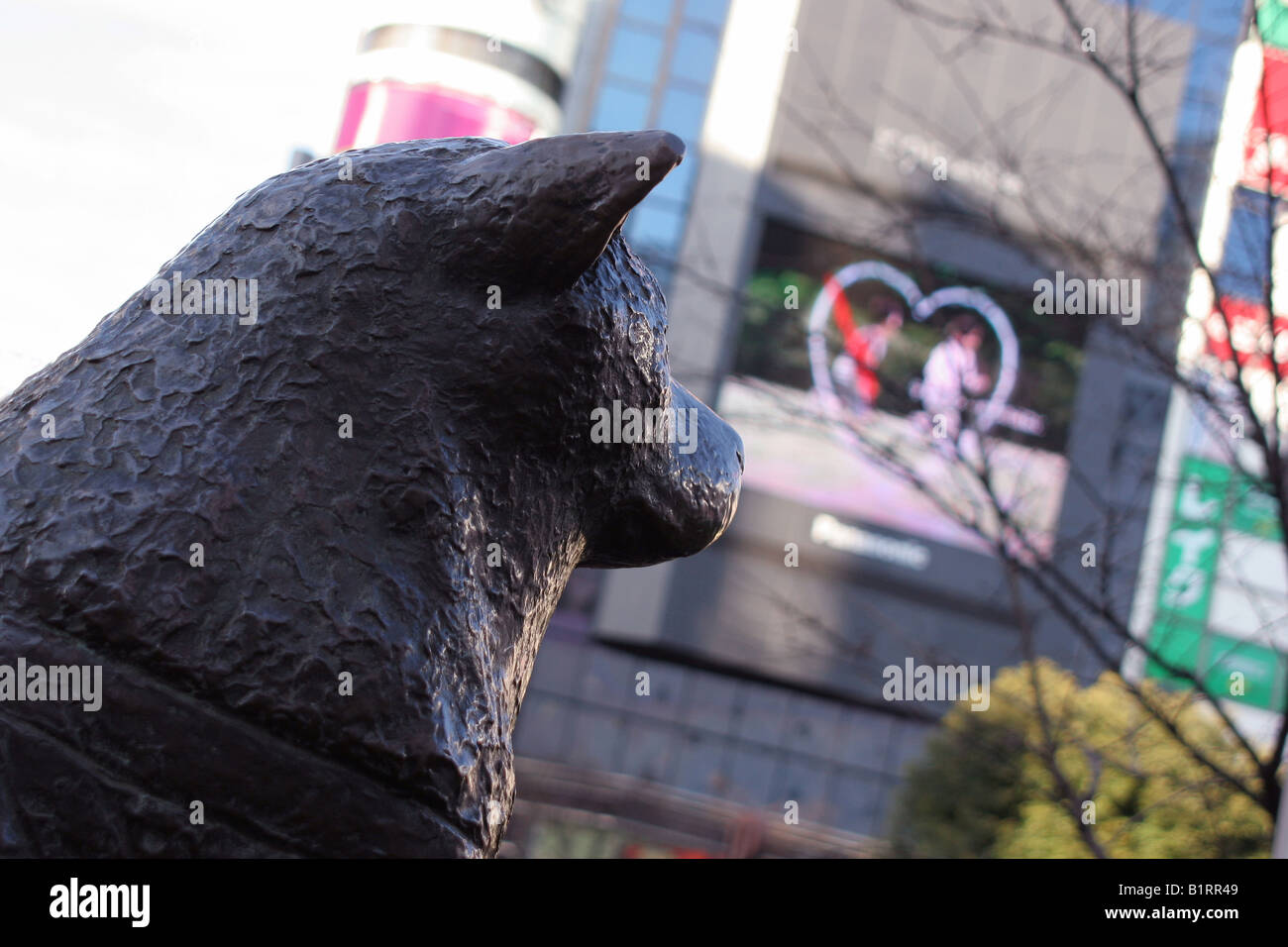 Hachiko faithful Dog Statue at Shibuya Station Tokyo Japan Stock Photo