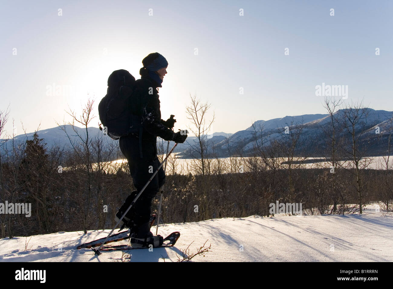 Snowshoeing, Fishlake area, Yukon Territory, Canada Stock Photo