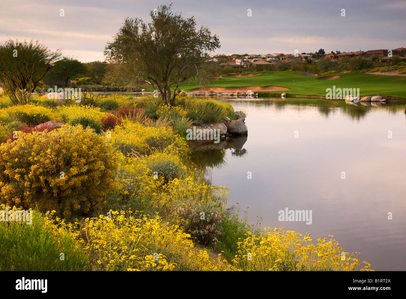 Sunridge Canyon Golf Course Fountain Hills outside of Phoenix Arizona Stock Photo