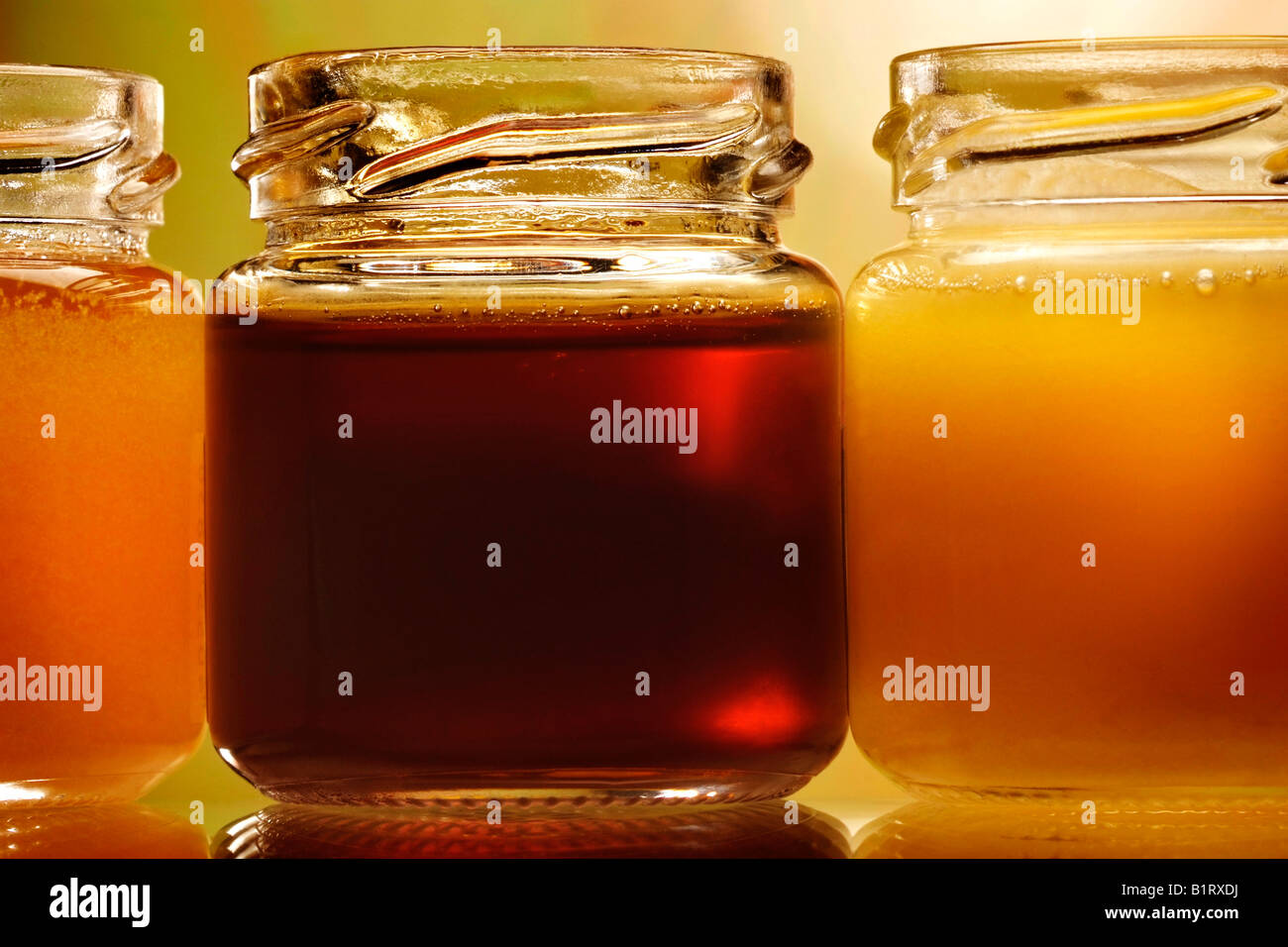Почему мед темный. Цветочный и падевый мед. Гречишный мёд. Темный мед. Разные сорта меда.