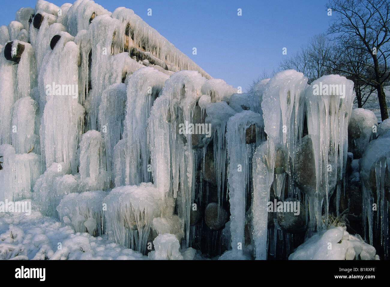 Icicles hanging from stacked logs, woodpile in winter Stock Photo