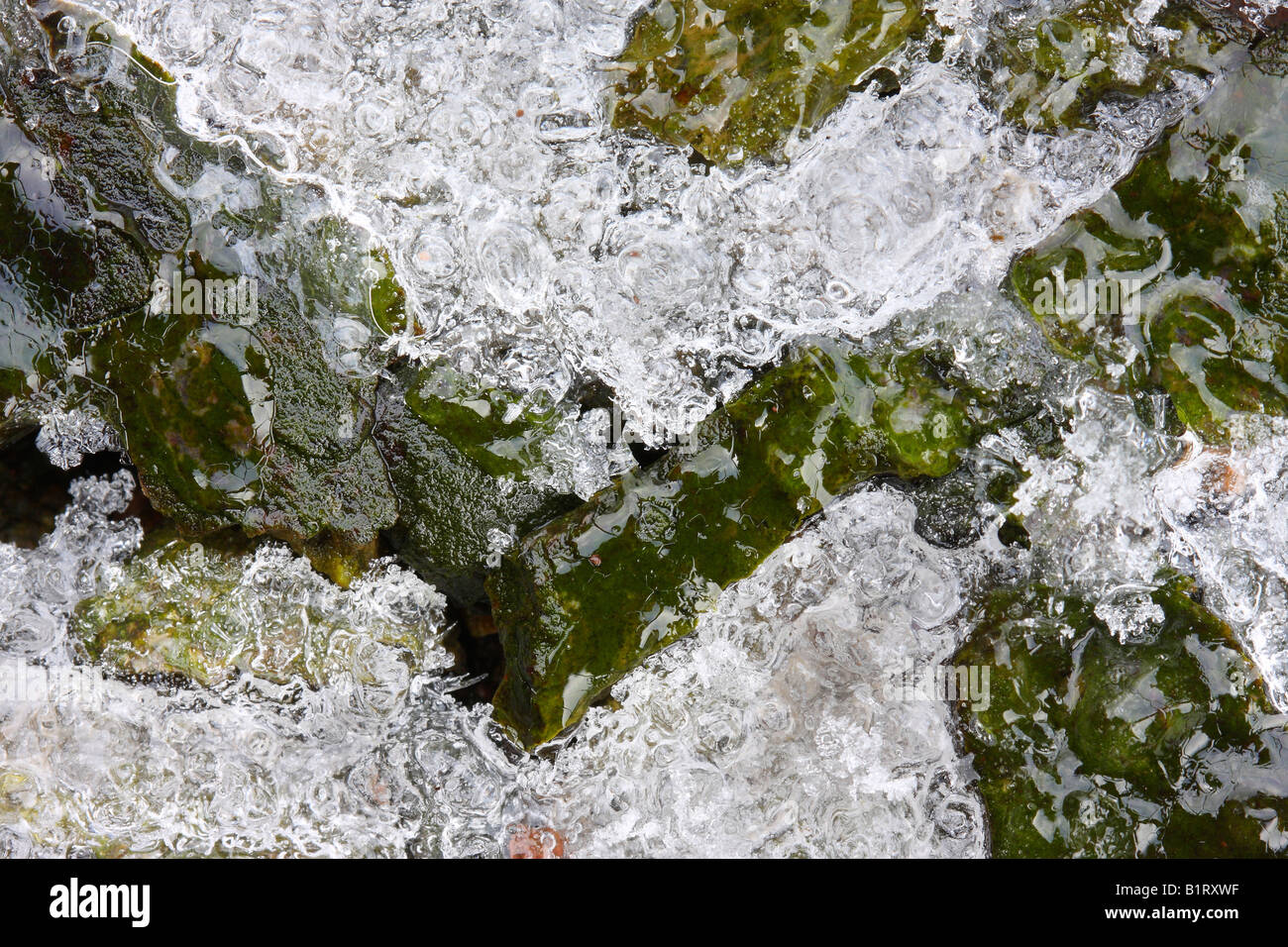 Layer of ice formed on green stones Stock Photo Alamy