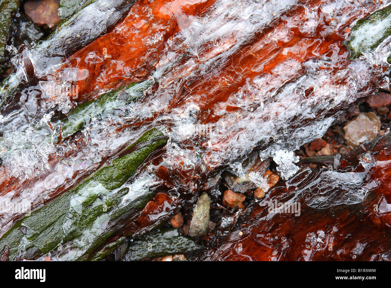 Layer of ice formed on colourful stones Stock Photo Alamy
