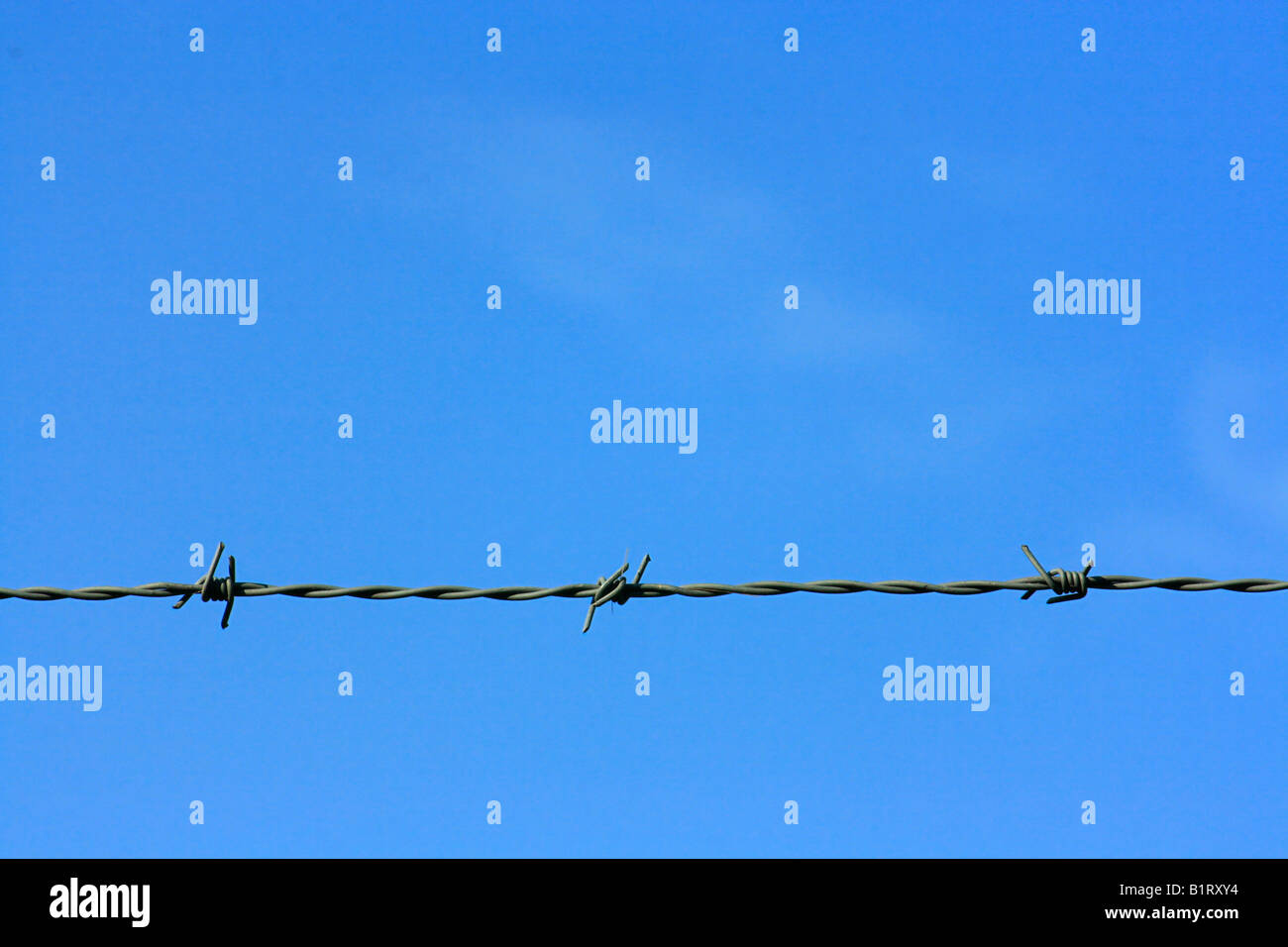 Blue sky and barbwire, barbedwire Stock Photo
