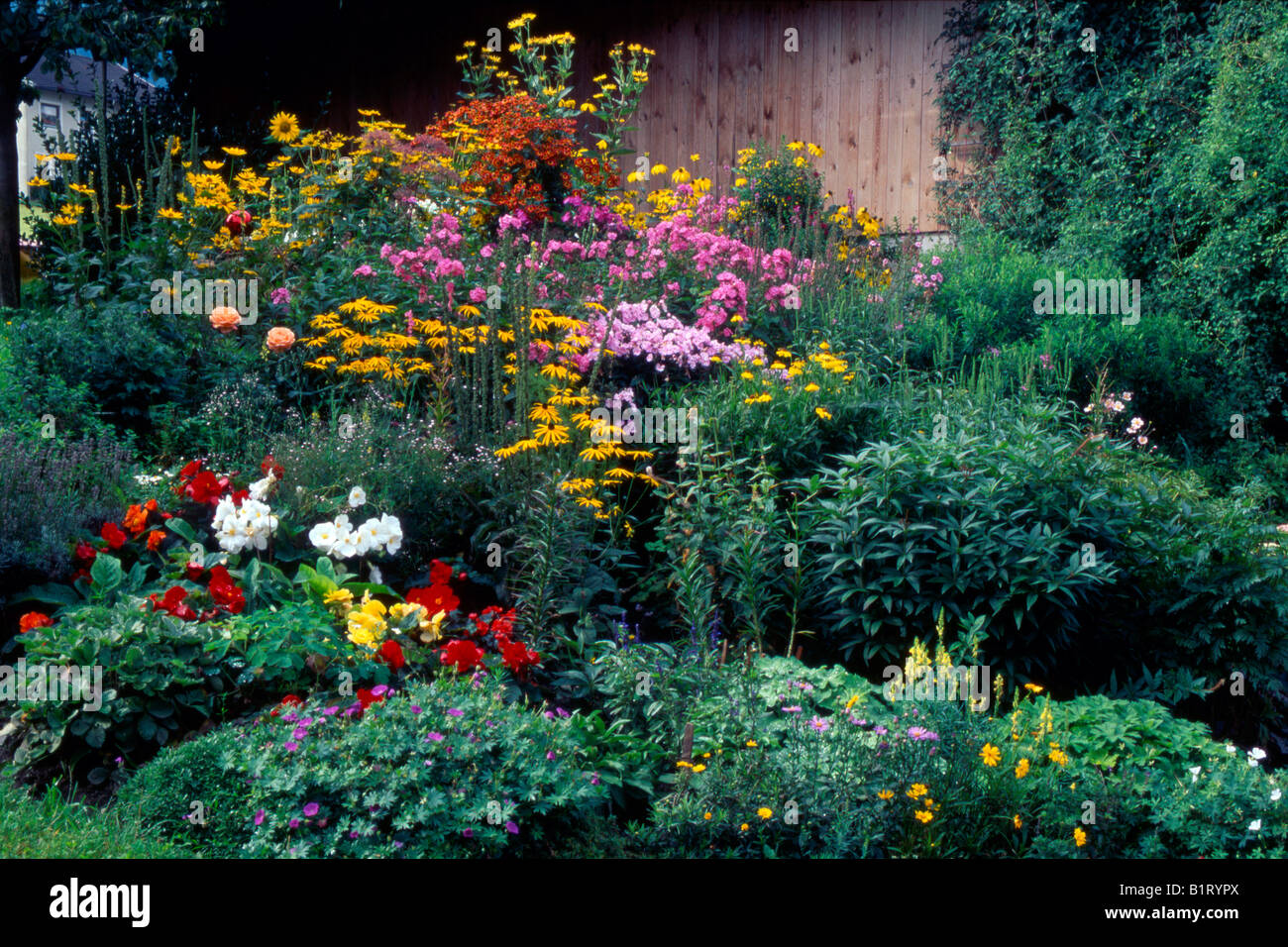 Flower garden, Schwaz, Tyrol, Austria, Europe Stock Photo