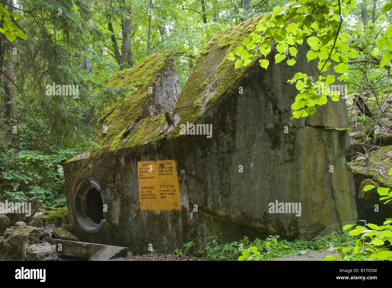 Wolfsschanze, Wolf's Lair, WWII bunker, Second World War, Masuria, Poland, Europe Stock Photo