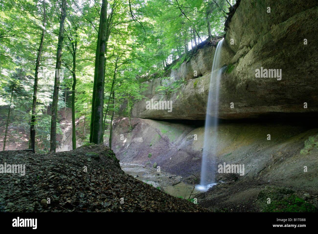 The Waterfall Wissengubel plummeting over a wall of quaternary conglomerate rock, Gibswil, Zuercher Oberland, Canton Zurich, Sw Stock Photo