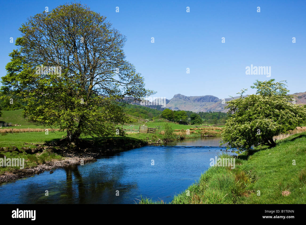 Elter Water The Spring Colours Around The Lake In May, 'The Lake District' Cumbria England UK Stock Photo