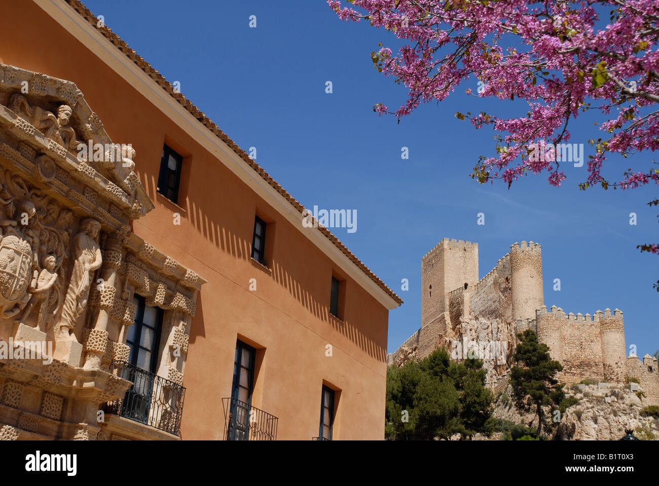 Ayuntamiento, Castle & Judas tree, Almansa, Albacete Province, Castile-La-Mancha, Spain Stock Photo