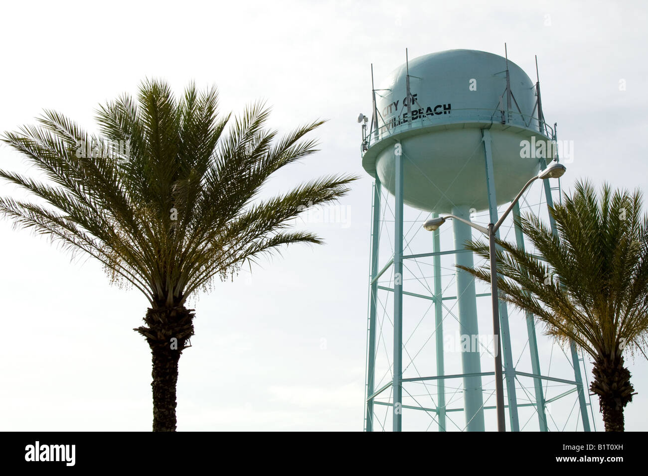 Water tower between two palm trees in Jacksonville Beach, Florida Stock