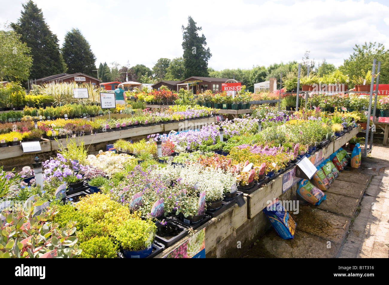 Garden Centre Hampshire UK Stock Photo