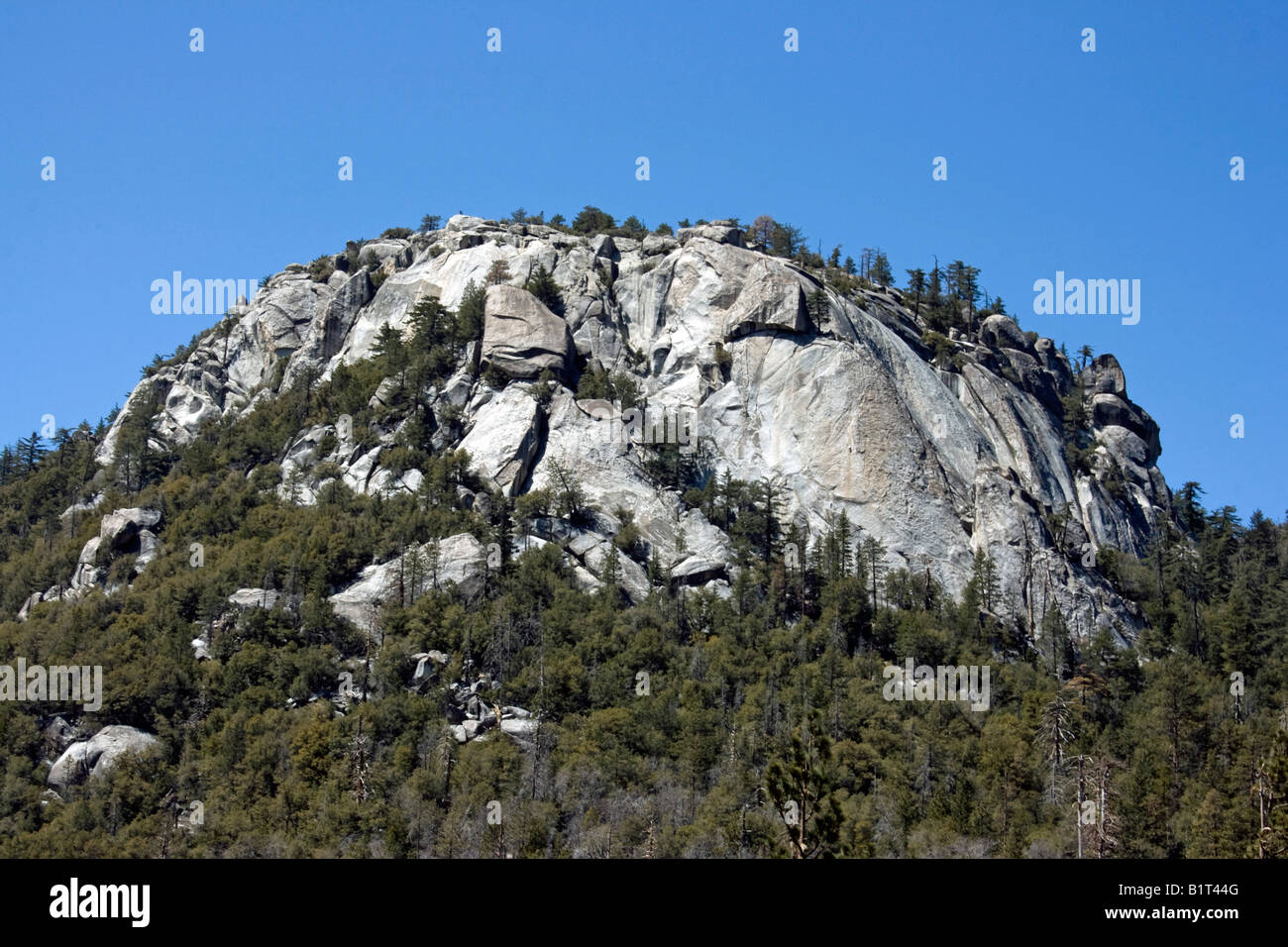 Suicide rock above Idyllwild California is a famous rock for rock climbers. There are upwards of 300 climbing routes on Suicide Stock Photo