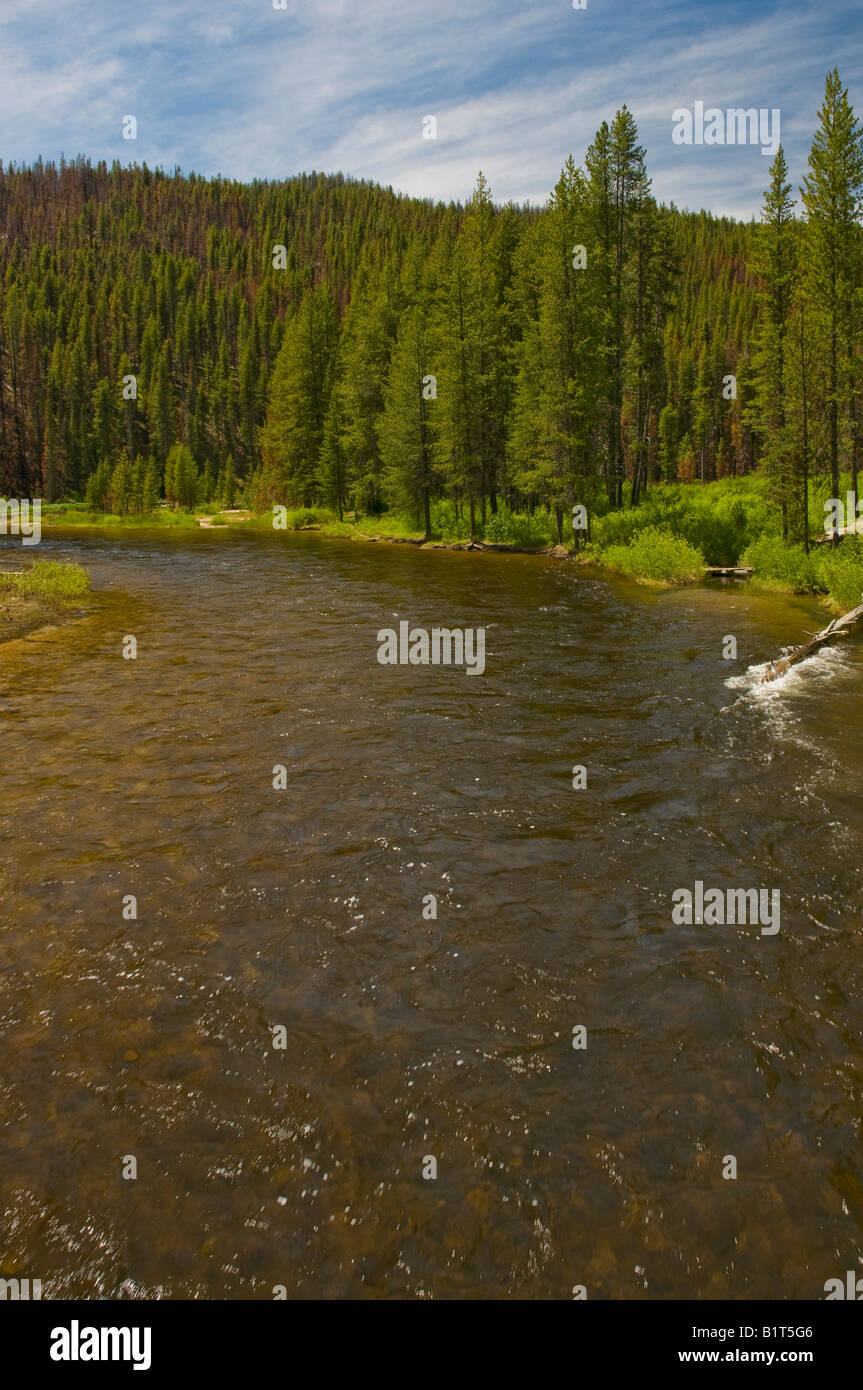 Idaho The Secesh river as seen from the trail to Loon Lake above McCall