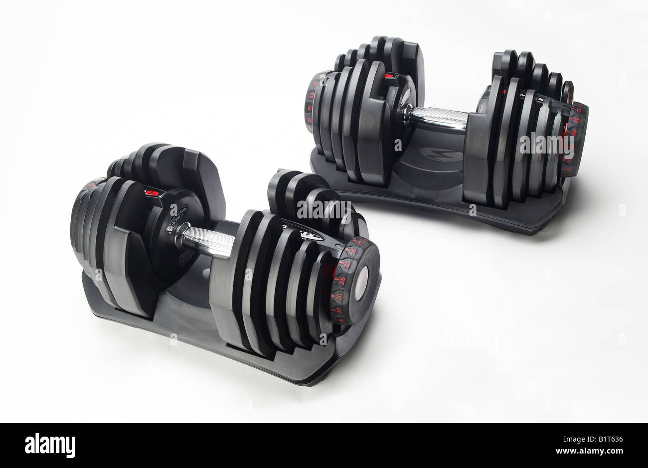 dumbells on a white background Stock Photo