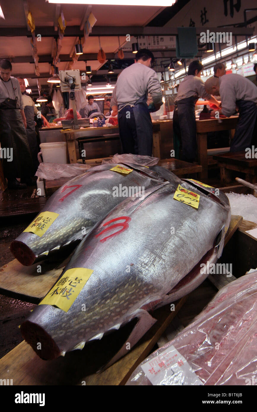 Tsukiji Fish Market Tokyo Japan Stock Photo - Alamy
