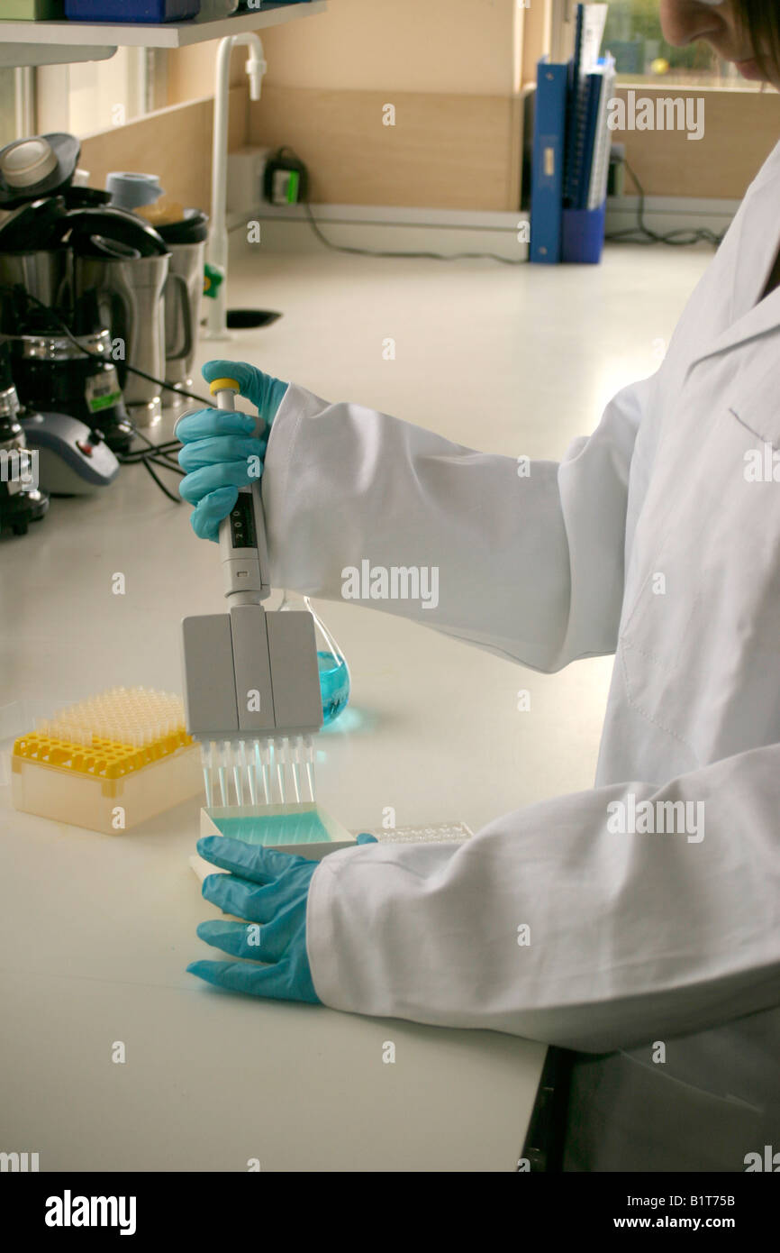 A laboratory technician performs an analysis at the bench using modern