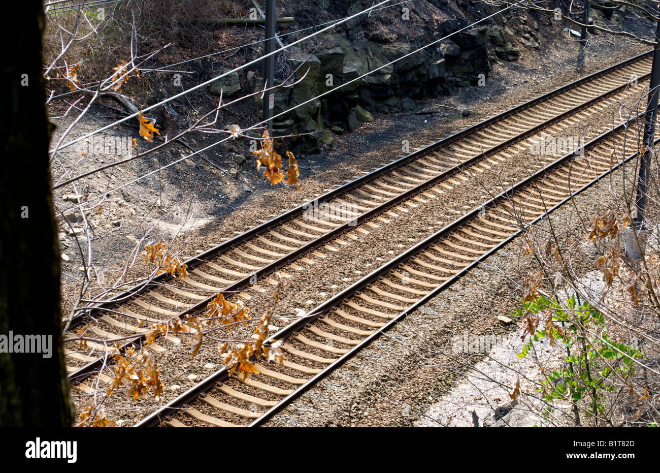 train tracks around the curve front view Stock Photo Alamy