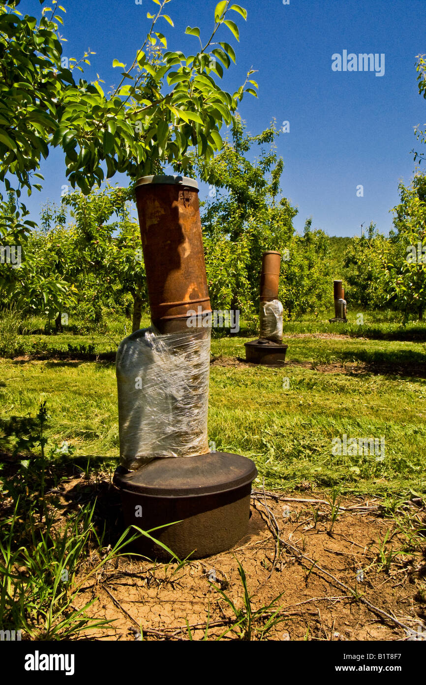 oil fired smudge pots are distributed throughout a fruit orchard in Ashland Oregon Note the side mounted rebreather pipe Stock Photo