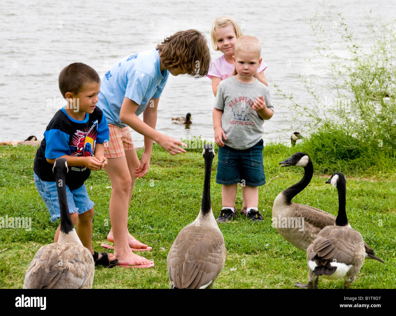 Geese children hi res stock photography and images Alamy