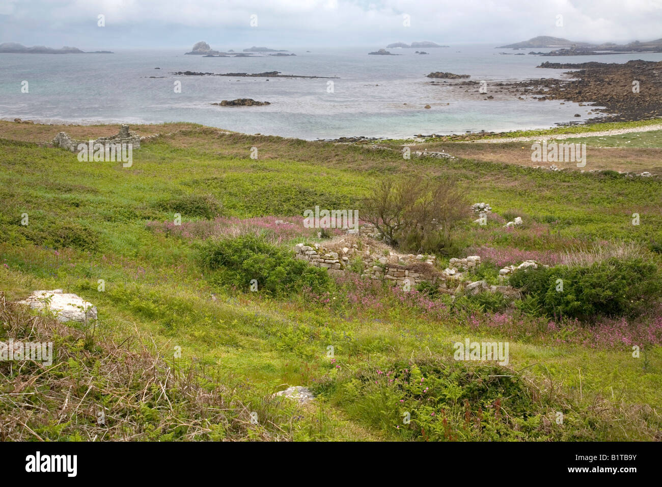 ruined house samson looking towards bryher Isles of Scilly Stock Photo