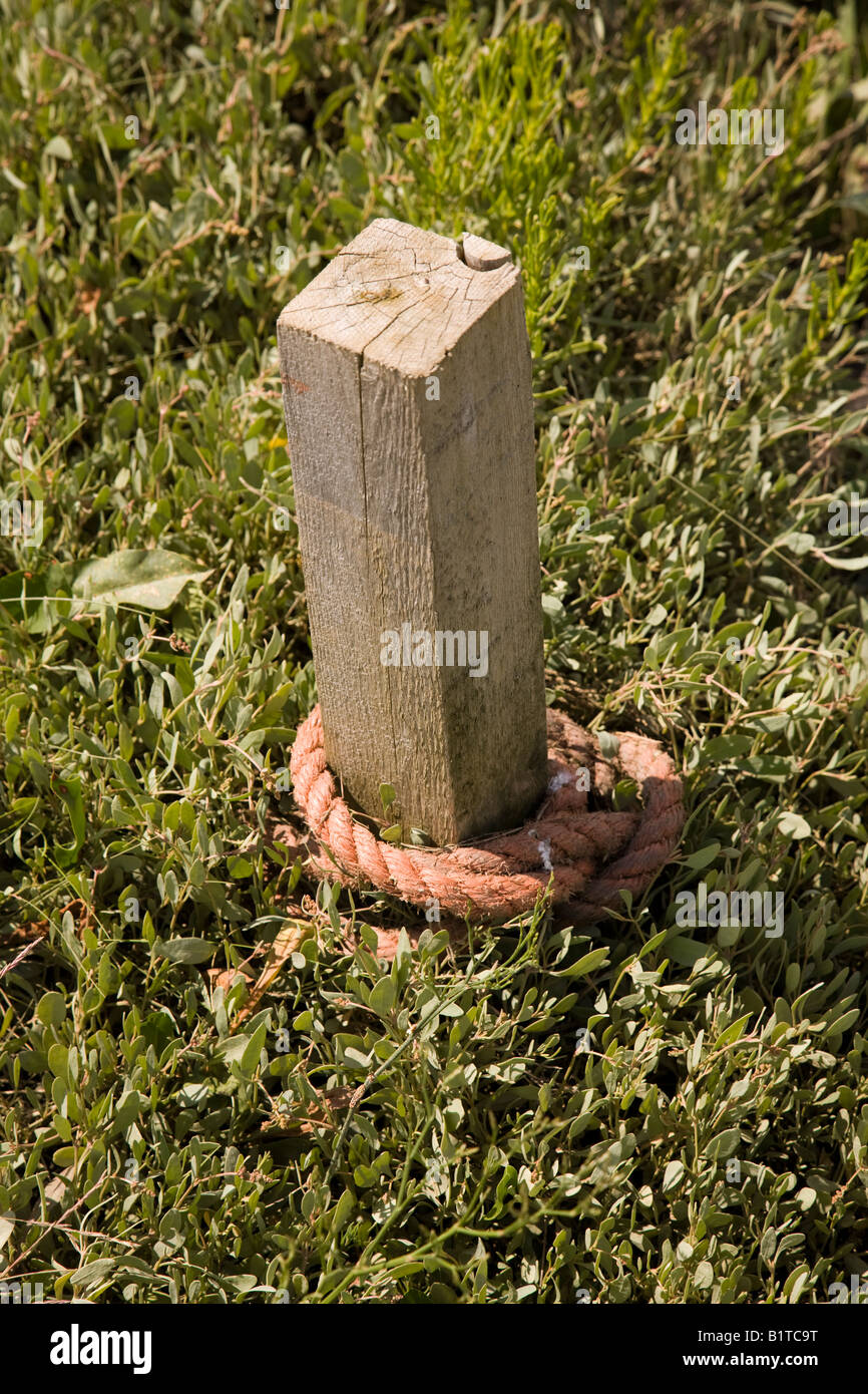 A stake in the ground Stock Photo - Alamy