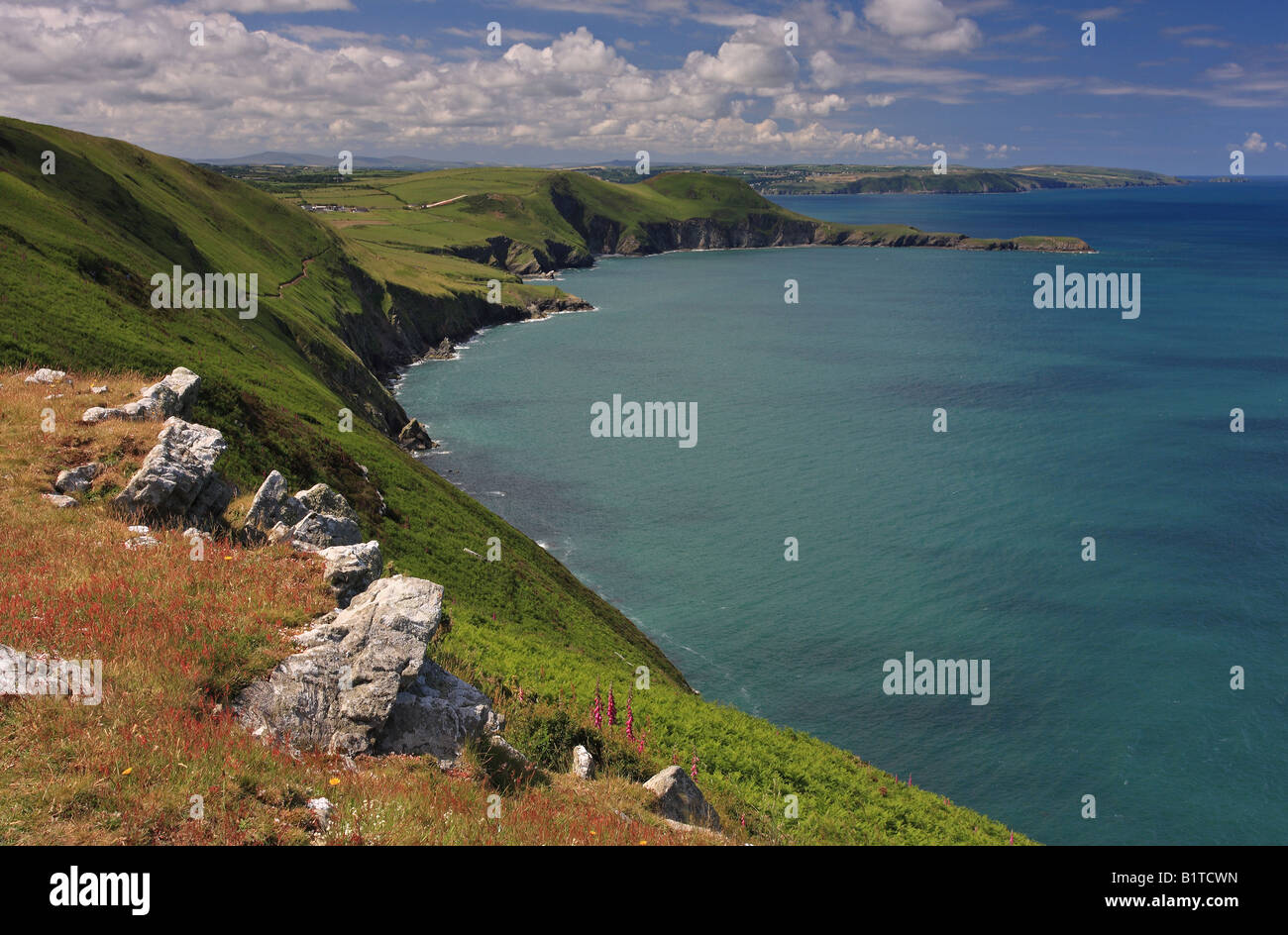 Coastal path Ceredigion Coast between Cwmtudu and Ynys Lochtyn Stock Photo