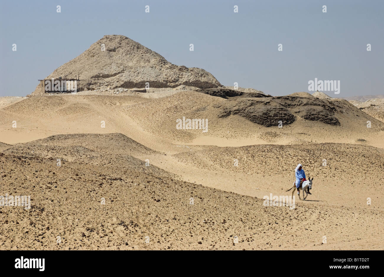 Egyptian Man riding a Mule in the Desert near Dashur Stock Photo