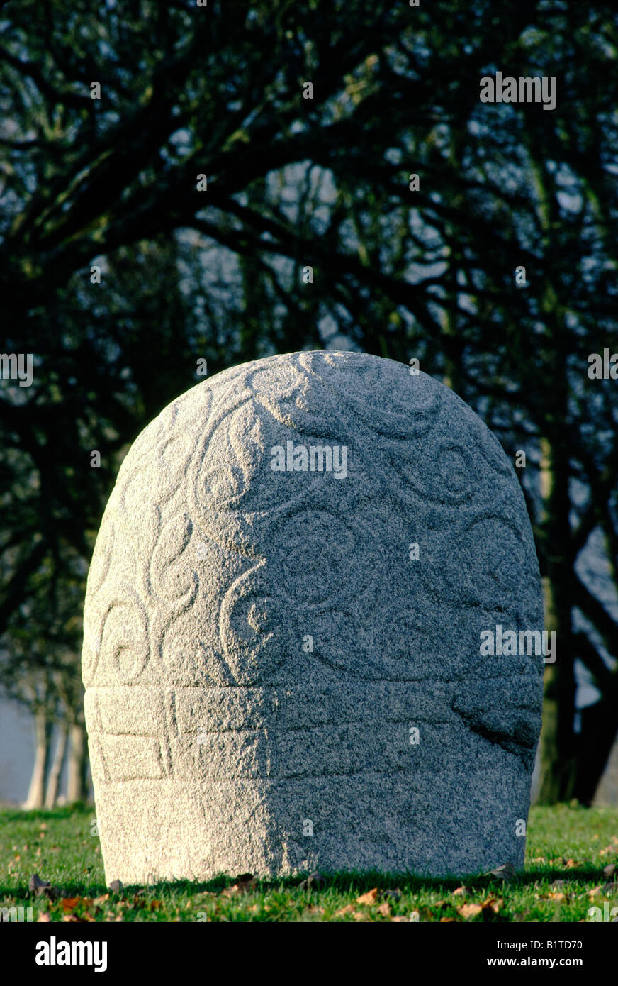 The Turoe Stone, Bullaun, County Galway, Ireland. 1m tall granite stone with fine La Tene style Celtic curvilinear carving. Stock Photo