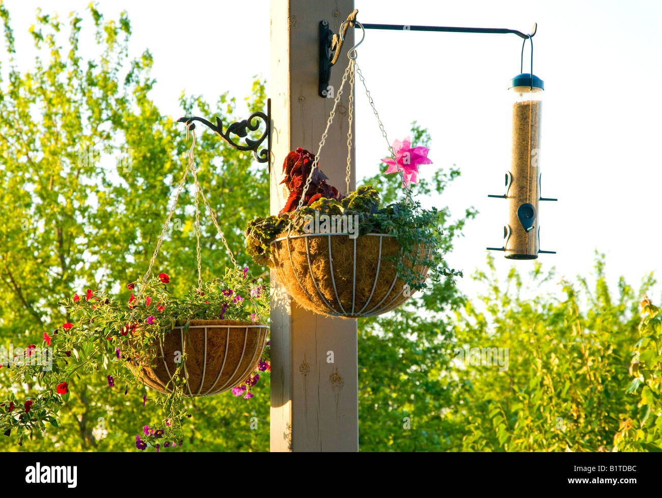 Hanging Flower Baskets & Bird Feeder Stock Photo Alamy