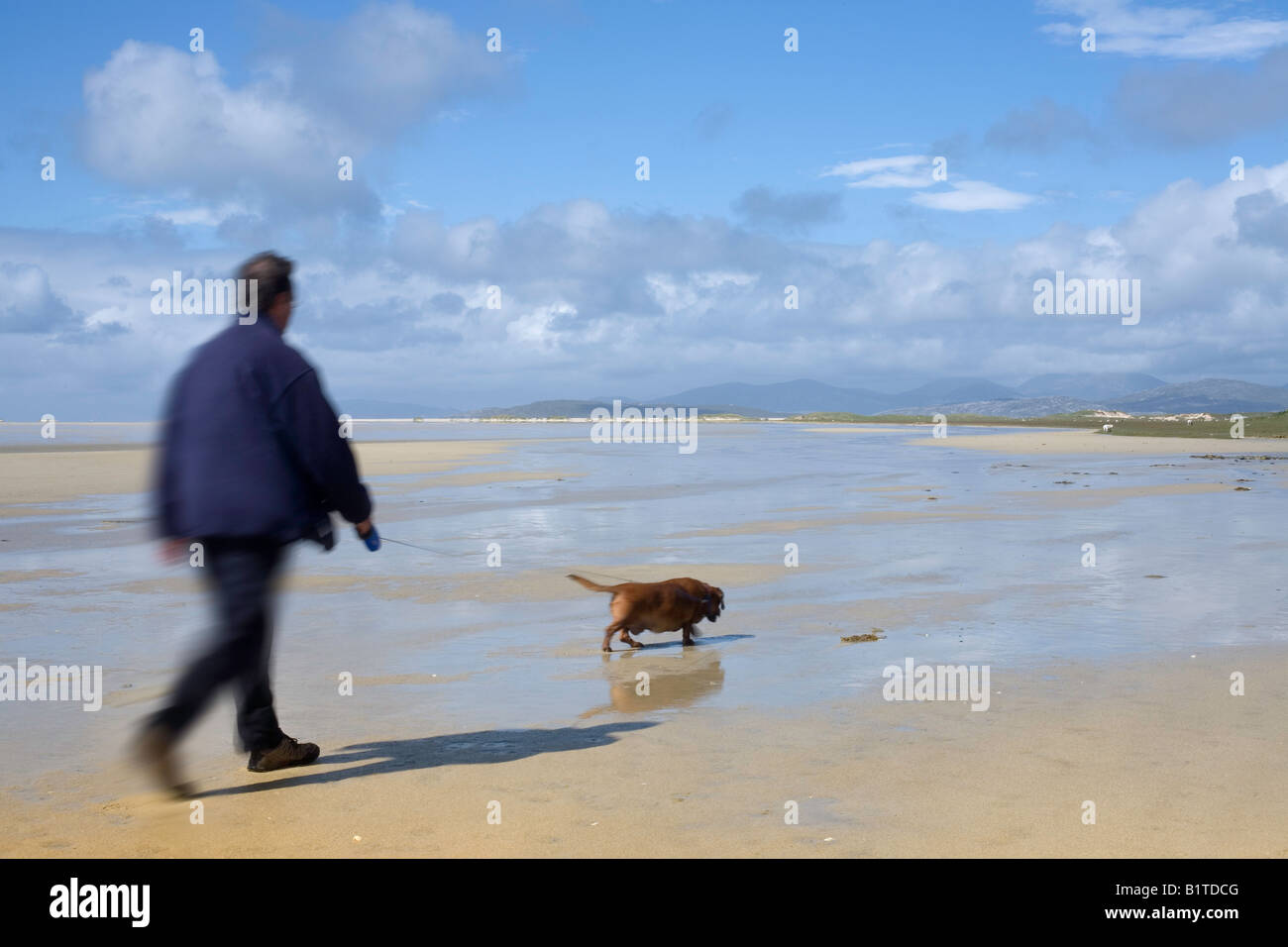 Man and dog walking on Traigh Scarista, Isle of Harris, Outer Hebrides, Scotland Stock Photo