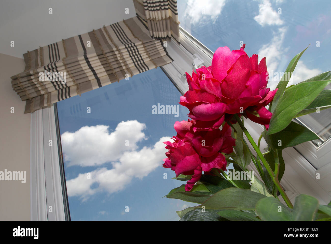 flowers in a vase in bay window Stock Photo Alamy
