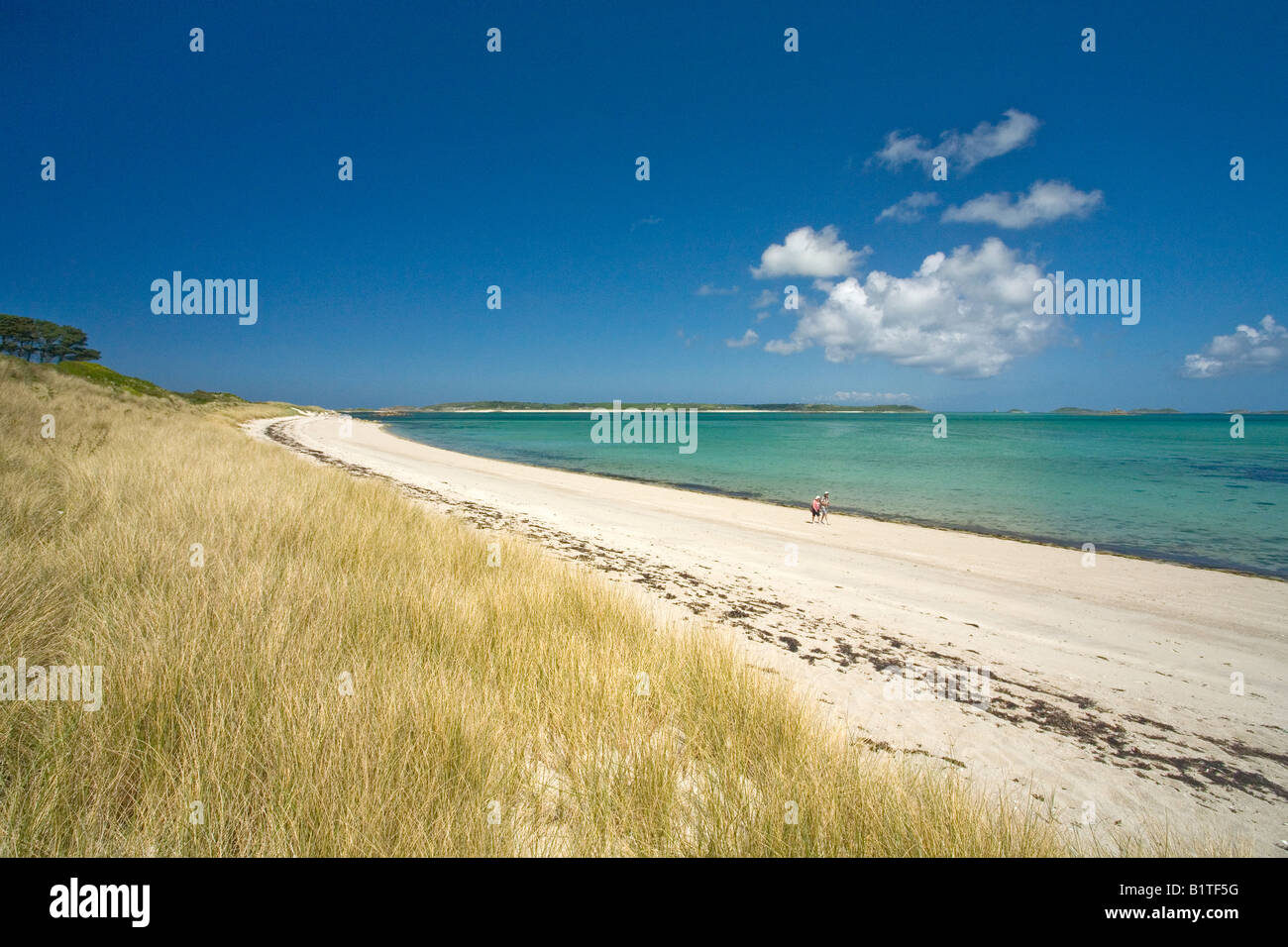Old couple people persons walking along beautiful beach in summer sun sunshine on Tresco Island Isles of Scilly Cornwall England Stock Photo