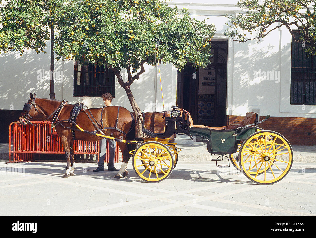 Typical horse drawn carriage. Sevilla. Andalusia. Spain. Stock Photo